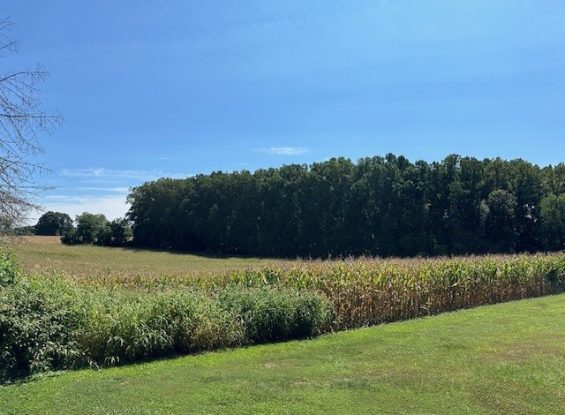 Public Real Estate Auction 12.6+/- Acres Chester County