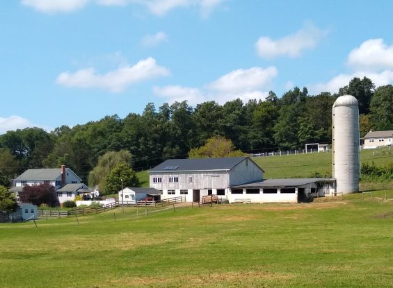 Public Real Estate Auction – 919 Valley Rd