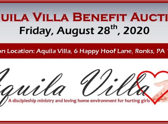Aquila Villa Benefit Auction