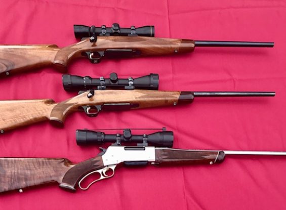 Public Auction – Gun Auction
