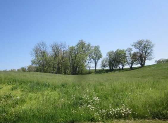 Public Auction – 00 Cooper Dr – Lancaster County