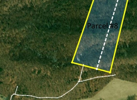 Public Land- Parcel #8- 36.31 Acres- 00 Pisgah Rd- Perry County