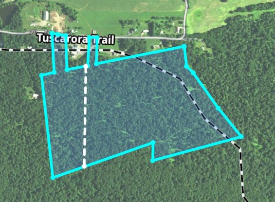 Public Land- Parcel #5- 81 Acres- 00 Pole Cat Rd- Perry County