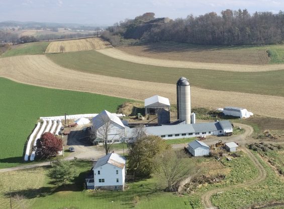 Public Real Estate Auction – 83 Maples Road