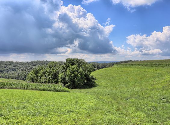 Public Auction- Lots 1 & 6,1623 Breon Rd, Middleburg, PA 17842