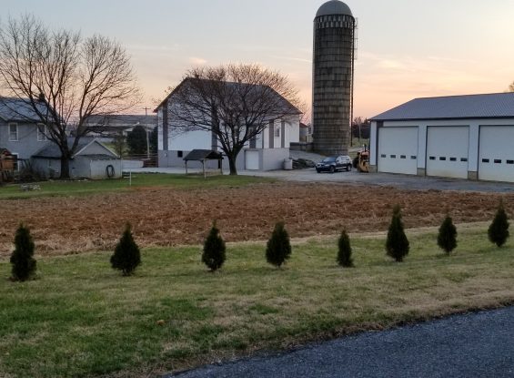 Public Auction- 558 Farmersville Rd., New Holland, PA 17557