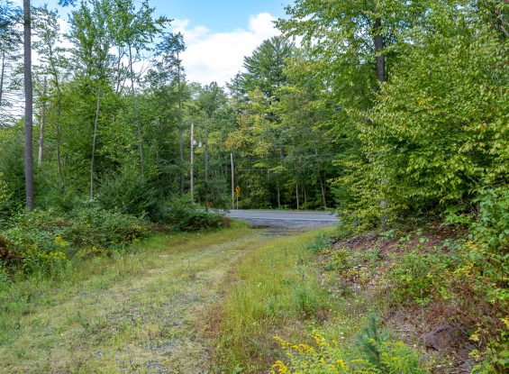 Public Real Estate Auction 517 Acres Schuylkill County