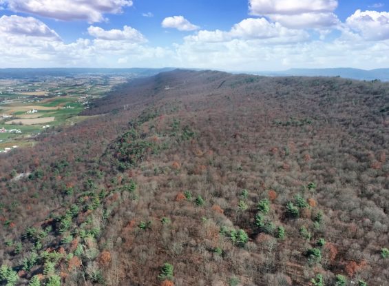 Public Real Estate Auction Woodland Mifflin County