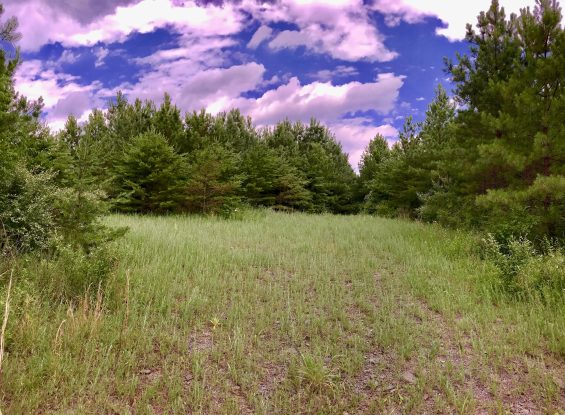 Public Real Estate Auction 3.8+/- Ac. Southern Lanc. Co.