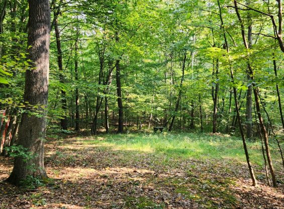 Public Real Estate Auction +/- 5.19 Acres Land Huntingdon County