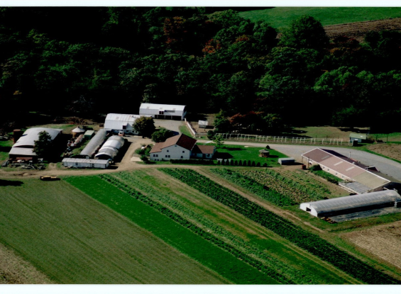 956 Fallowfield Road