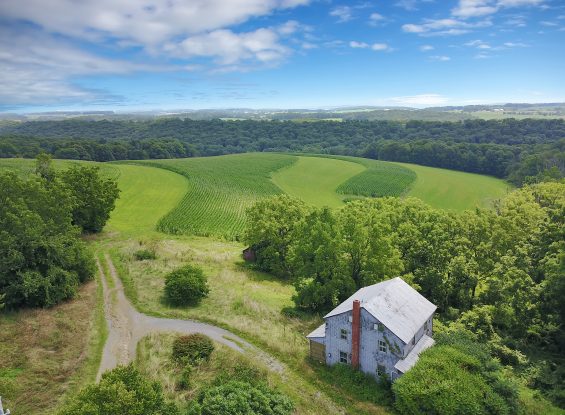 Public Real Estate Auction 43.8+/- Ac. Farm Perry Co.