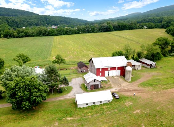 Public Real Estate- Parcel #1- 79.53 Acres, 41 Pole Cat Rd- Perry County