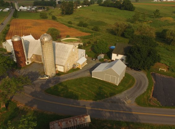 Public Farm Auction- 1195 Mondale Rd, Bird in Hand, PA 17505