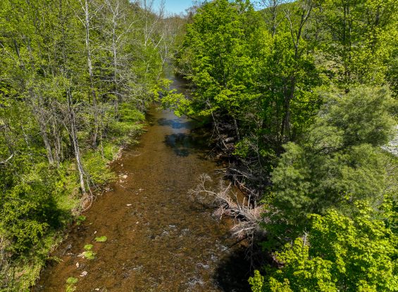 Public Real Estate Auction +/- 97 Acres Lycoming County