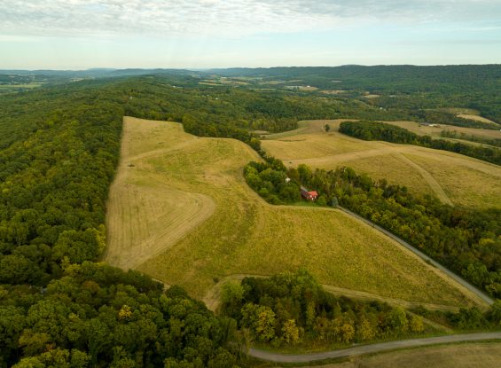 Public Real Estate Auction +/-97 Acres Northumberland County