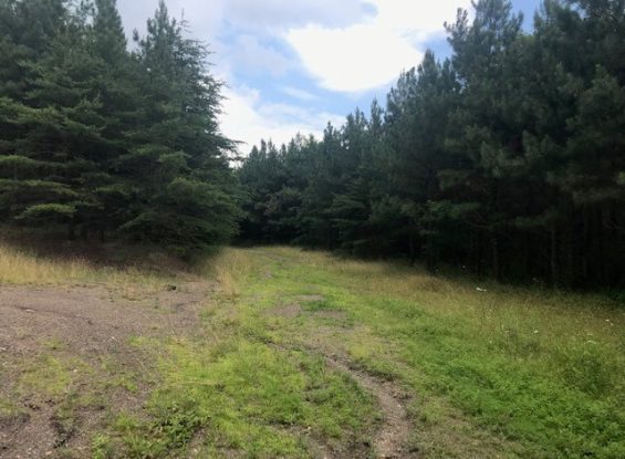 Public Land Auction- 00 Ridge Rd, Shirleysburg, PA 17260