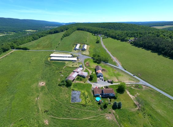 Absolute Perry County Public Auction- 1334 Valentine Rd, Ickesburg, PA 17037