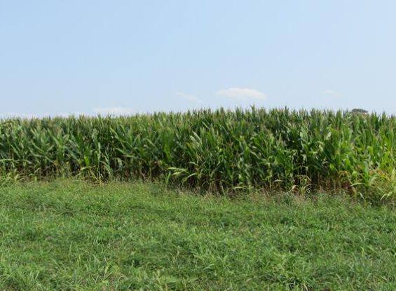 Highpoint & Glenville Road