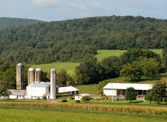 Public Farm Auction- 4850 Tuscarora Path, Loysville, PA 17047