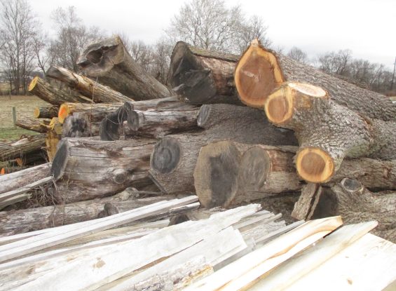 Public Log Auction 220 Covered Bridge Rd, Ephrata, PA 17522