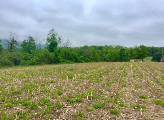 00 Vanormer Rd, McAlister, PA 17049