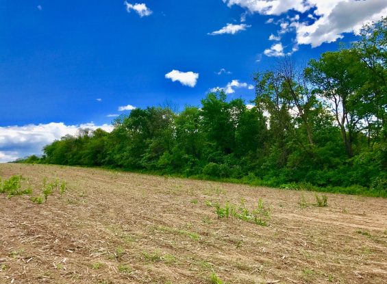 00 Vanormer Rd Lot #2, McAlister, PA 17049