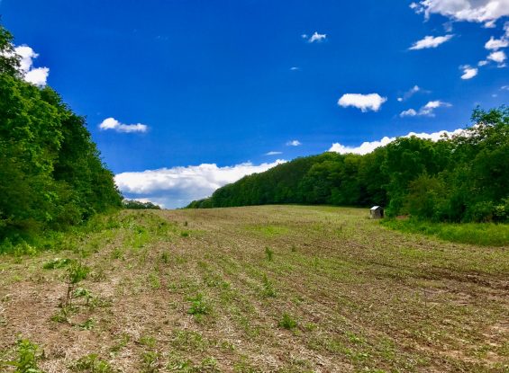 00 Vanormer Rd Lot #3, McAlister, PA 17049