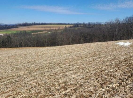 Public Real Estate Auction 88+/- Acres Northumberland County