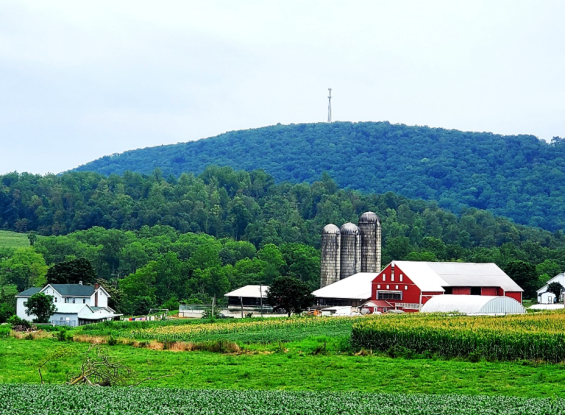 Public Auction – 280 Pike Rd