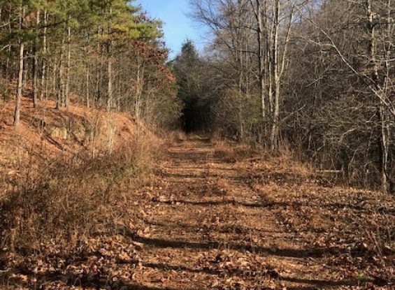 Public Land Auction- 00 Log Cabin Rd, McConnelsburg, PA 17233