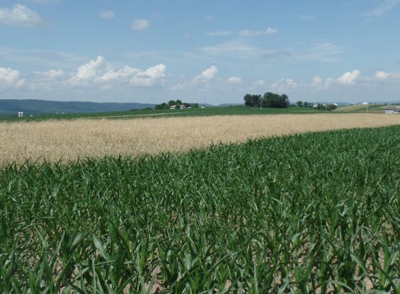 Public Auction- 00 Wert Rd, Millersburg, PA 17061