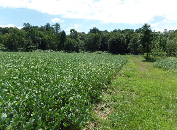 Public Real Estate Auction- 00 Faggs Manor Rd, Cochranville, PA 19330