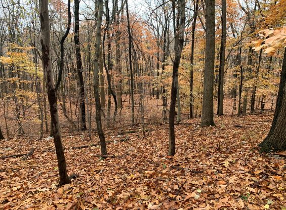 Public Real Estate Auction- 146 B Keller Rd, Fleetwood, PA 19522