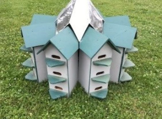 Aquilla Villa Benefit Auction- 211 East Main St, Leola, PA 17540