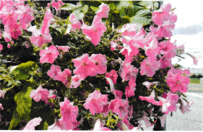 31st Annual Lighthouse Vocational Benefit Auction