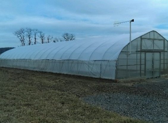 6694 Cedar Springs Rd, Mifflintown, PA 17059