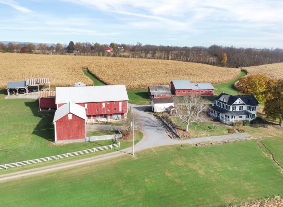 Public Real Estate Auction 46+/- Ac Union Co. Farm