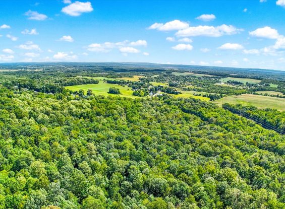 Public Real Estate Auction 48.75+/- Acres Dauphin County