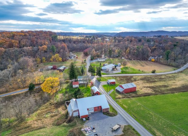 Public Real Estate Auction 43 Acre Farm Northumberland Co.
