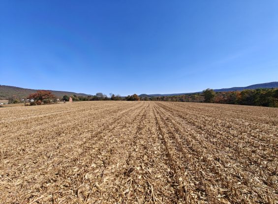 Public Real Estate Auction 51+/- Acres Farmland Schuylkill County