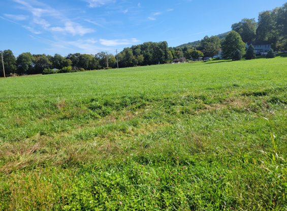 Public Auction- 80 E. Bethany Rd.