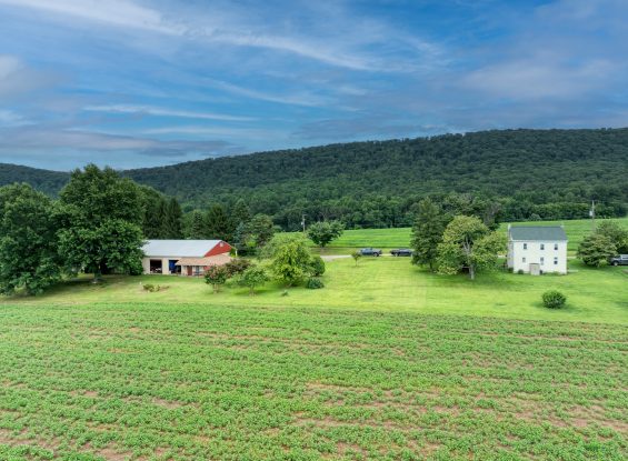 Public Real Estate Auction 57.55+/- Ac Dauphin County