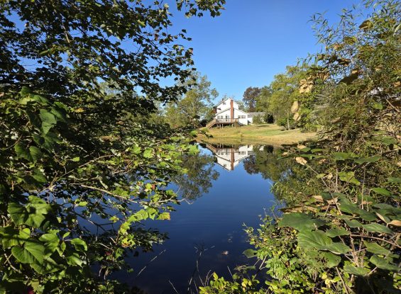 Public Real Estate Auction 16.33 Acres Perry County