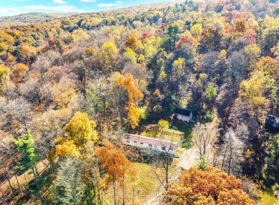 Public Real Estate Auction- 10.06 Acres Perry County