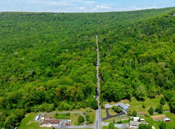 Public Real Estate Auction 180+/- Ac Berks Co Woodland