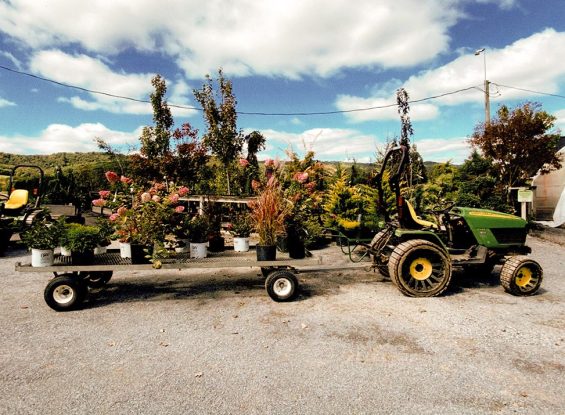 Bloomfield Nursery’s Spring Overstock Sale