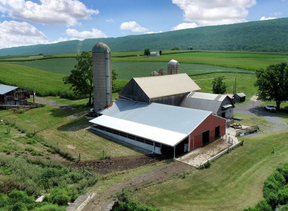 Public Auction – 367 Middle Rd.