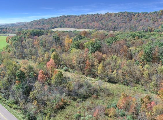 Public Real Estate Auction Multi-Parcel Bedford County