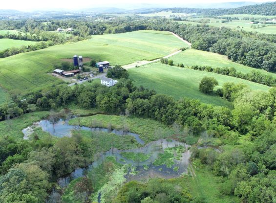 Public Real Estate Auction 202+/-Ac. Multi-Parcel Juniata Co.